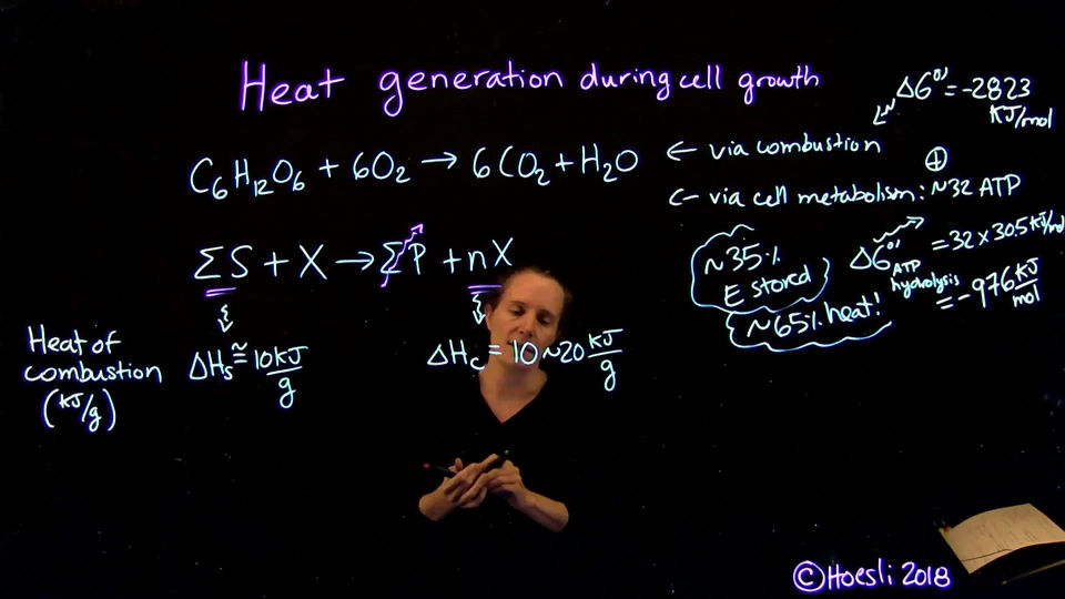1-6 Metabolic heat
